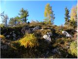 Planina Blato - Rigeljc